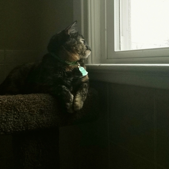 Meet your Posher, Ej - Picture 1 of 1